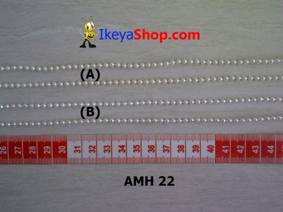 AMH 22 A B  large2